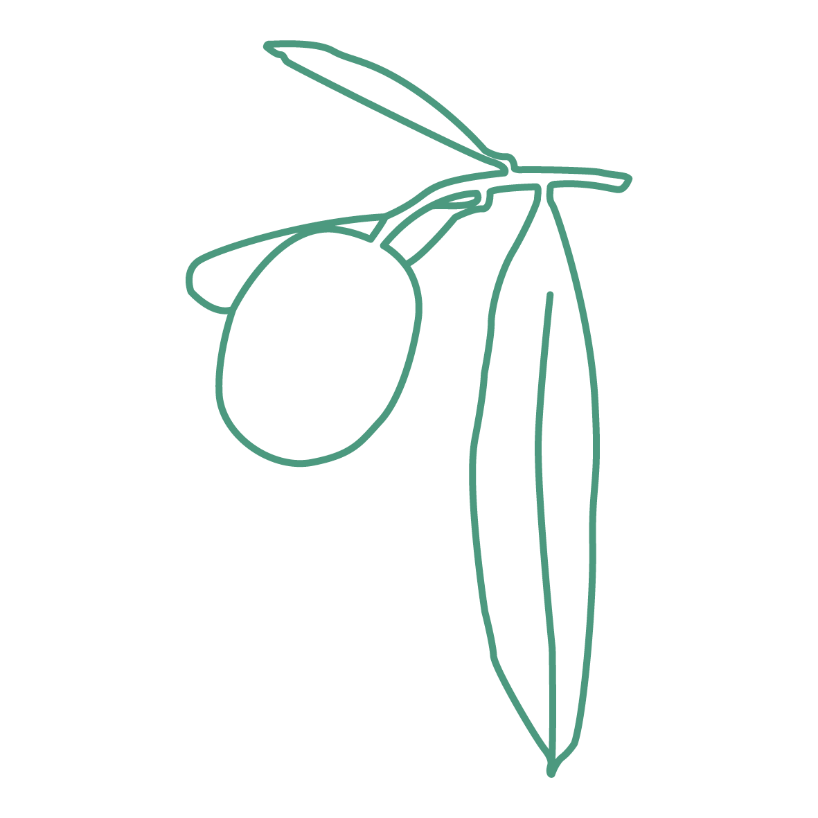 JoiaVida_Olijf_Groen_WitteAchtergrond_300dpi_RGB Olijfblad