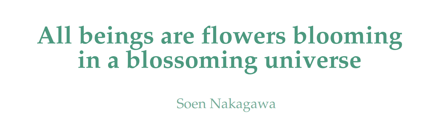 All beings are flowers bloomimg All beings are flowers blooming